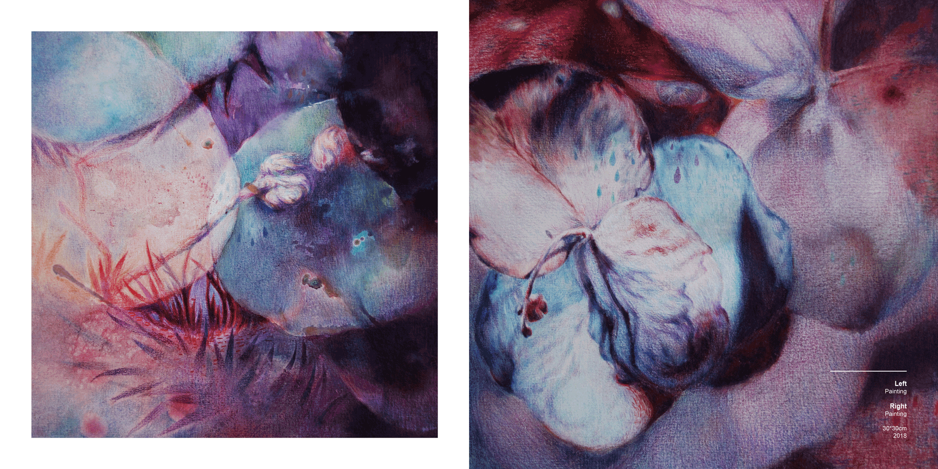 2.Micro-world2